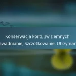 featured-image-konserwacja-kortw-ziemnych-nawadnianie-szczotkowanie-utrzymanie