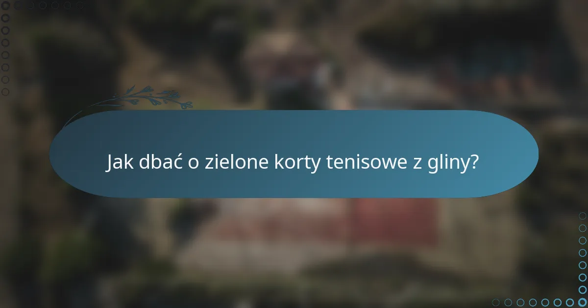 Jak dbać o zielone korty tenisowe z gliny?