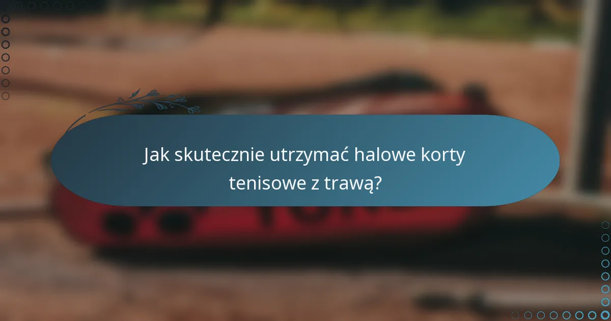 Jak skutecznie utrzymać halowe korty tenisowe z trawą?