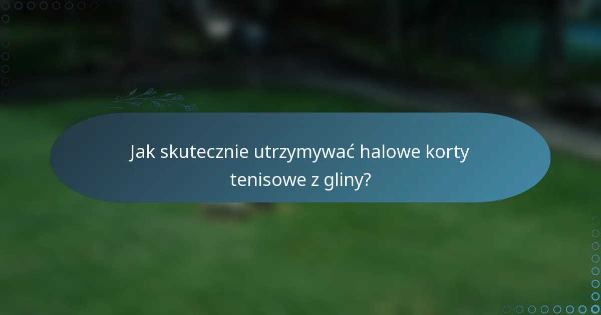 Jak skutecznie utrzymywać halowe korty tenisowe z gliny?