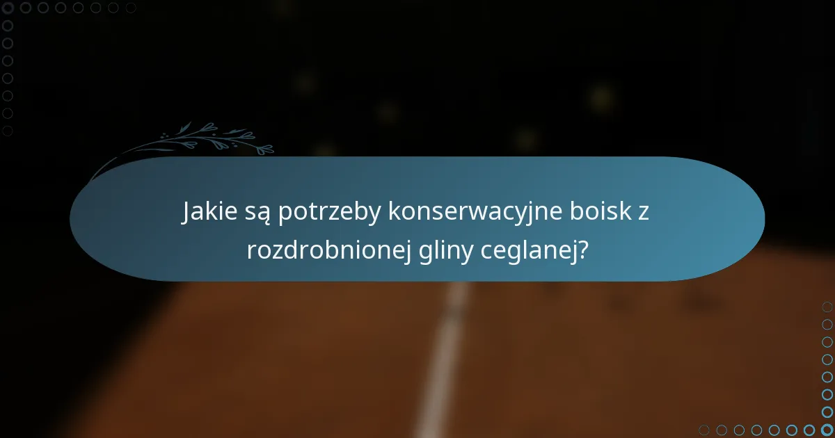 Jakie są potrzeby konserwacyjne boisk z rozdrobnionej gliny ceglanej?