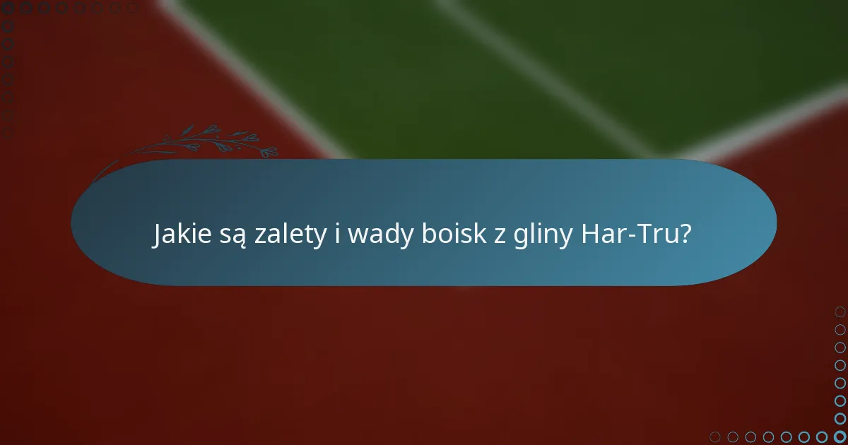 Jakie są zalety i wady boisk z gliny Har-Tru?