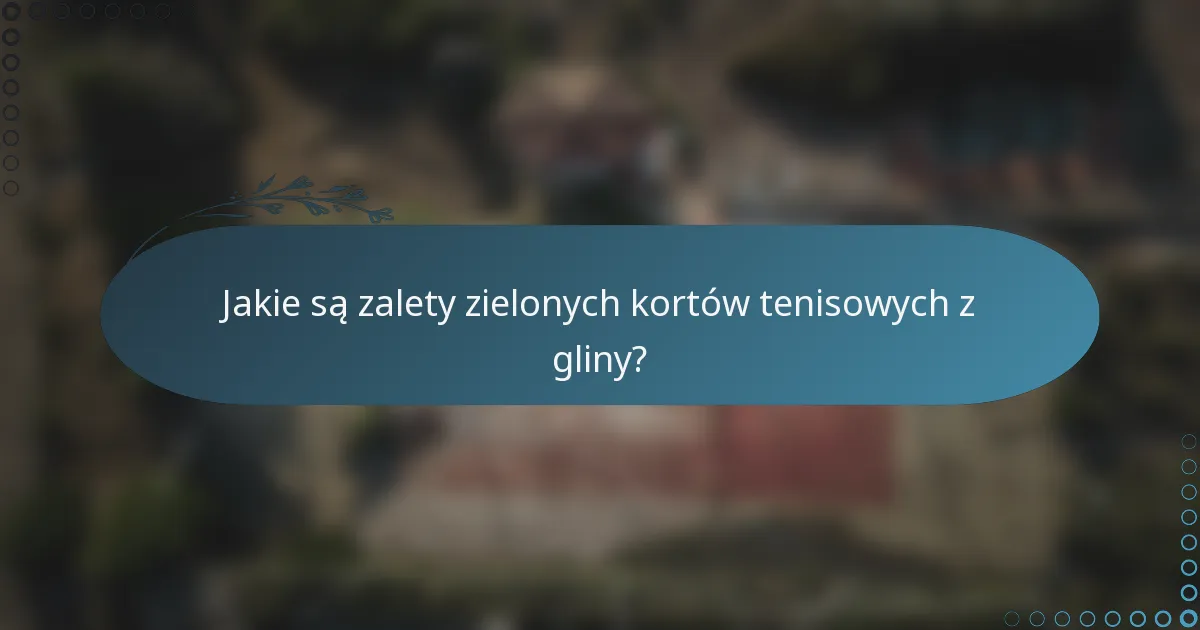 Jakie są zalety zielonych kortów tenisowych z gliny?